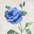 thumbnail image 2 of Nan 12x12 White Modern Wood Framed Museum Art Print Titled - Blue Grandiflora I, 2 of 4