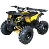 125cc Utility ATV Vitacci Rider 10