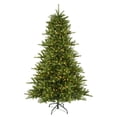 thumbnail image 1 of Vickerman 22657 - 4.5' x 38" Knox Pine 250 Warm White LED Lights Christmas Tree (C117546LED), 1 of 2