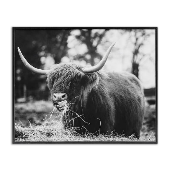 Stupell Industries Farmhouse Highland Cattle Tongue Lick Grass Black Framed Giclee Art, 14 x 11, by Dakota Diener