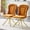 Orange, variant on Set of 2 Orange Puffy Bubble Chair Ball Chain Chair Velvet Dining Chairs with Gold Legs, Modern Upholstered Accent Chairs for Dining Room & Kitchen