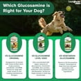 LIQUIDHEALTH K9 Glucosamine for Dogs Hip & Joint Juice Liquid Vitamin