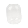 thumbnail image 3 of Florero de Vidrio Transparente Transparente Planta de Vidrio Florero de Terrario para Adorno, 3 of 9