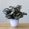 thumbnail image 4 of Artificial Foliage Plant Potted Bonsai Party Mall Market Desktop Office Decor, 4 of 8