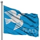 thumbnail image 1 of La bandera de la amistad que simboliza la, 1 of 2