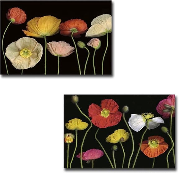 Poppy Garden I & II by Pip Bloomfield 2-Piece Premium Gallery Wrapped Canvas Giclee Art Set - 16 x 24 x 1.5 in.