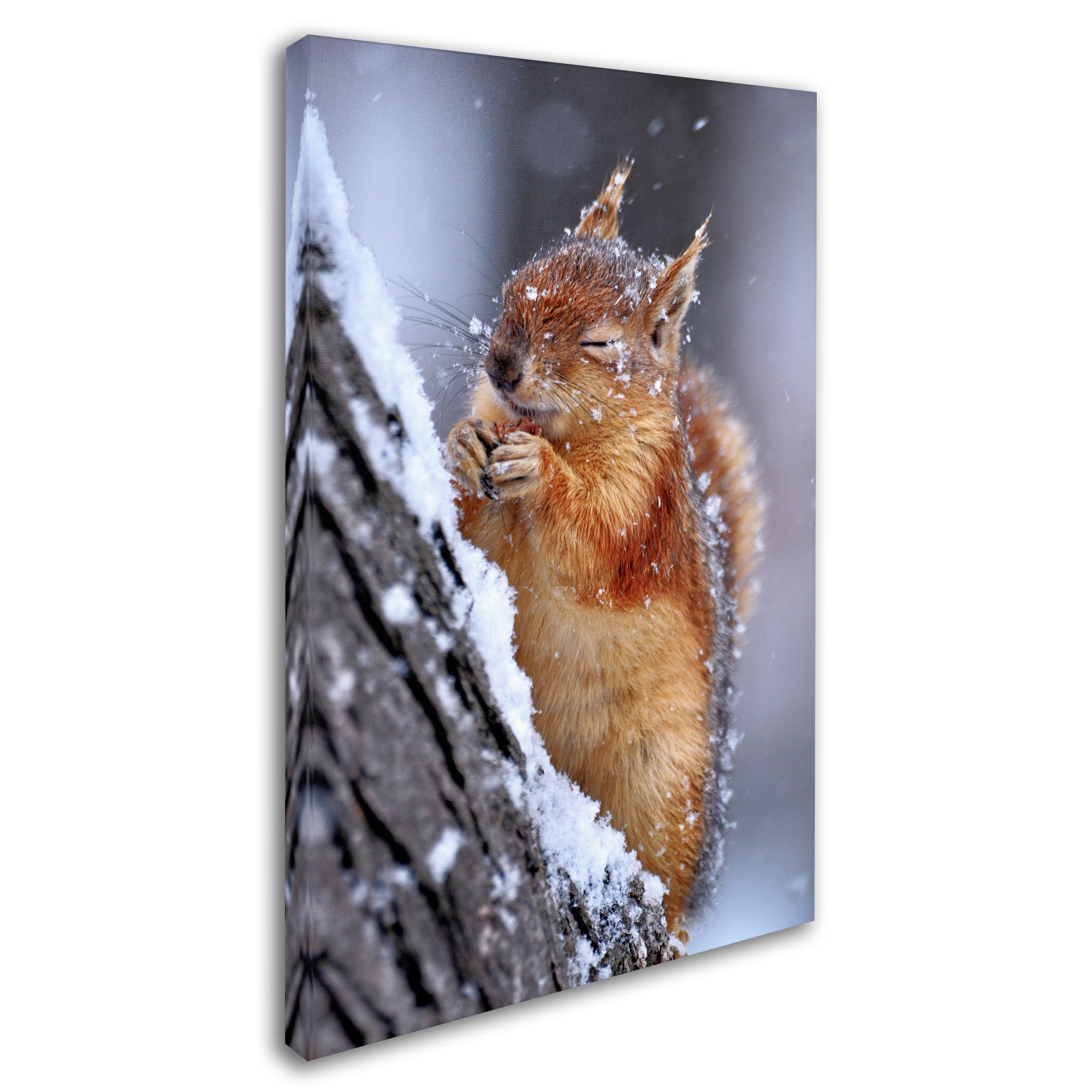 Trademark Fine Art 'Winter' Canvas Art by Ervin Kobakci