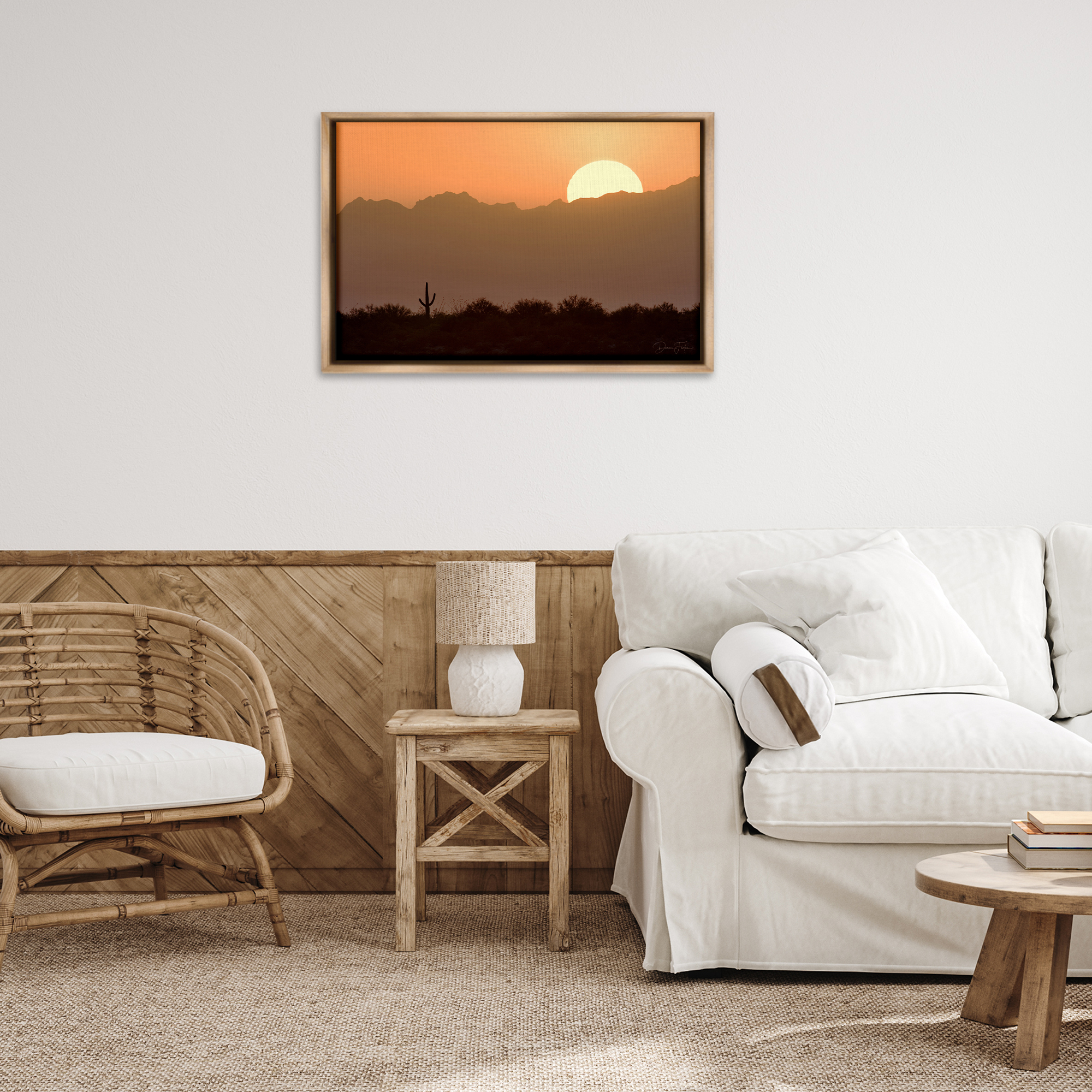 Stupell Industries Sunlit Desert Cactus Landscape & Nature Photography Brown Floater Framed Canvas Art Print Wall Art, 31 x 21