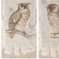 thumbnail image 3 of Lilith Owl Prints- Set of 2 Brown - Engineered Wood, 3 of 3