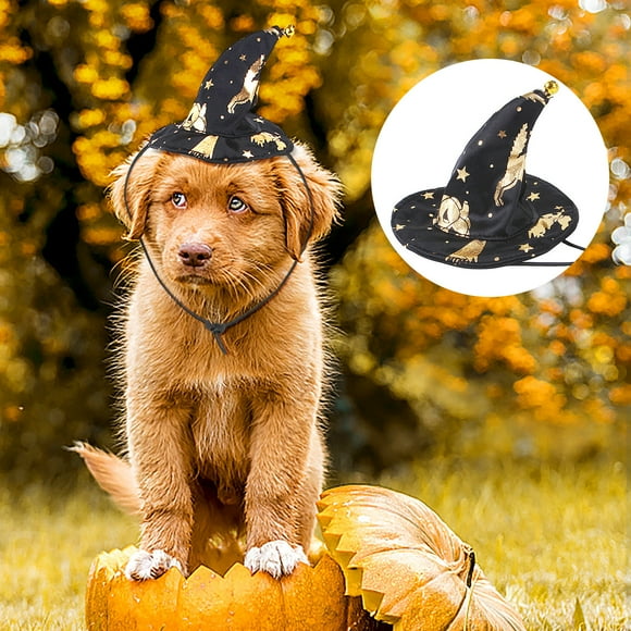 TIMIFIS Cat Halloween Costumes Halloween Print Witch Cloak Suit Pet Clothes Small And Medium Pet Dress Up Dog Halloween Costumes MediumFall