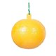 thumbnail image 1 of Moscas De La Fruta Bolas Adhesivas Aguja Amarillo/Verde Para Control Y Bolas, 1 of 3