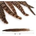 thumbnail image 2 of 20PCS Pheasant Tail Feather for DIY Crafts Home Holiday Party Decorations, 10-12 inch Natural Feather, 2 of 9