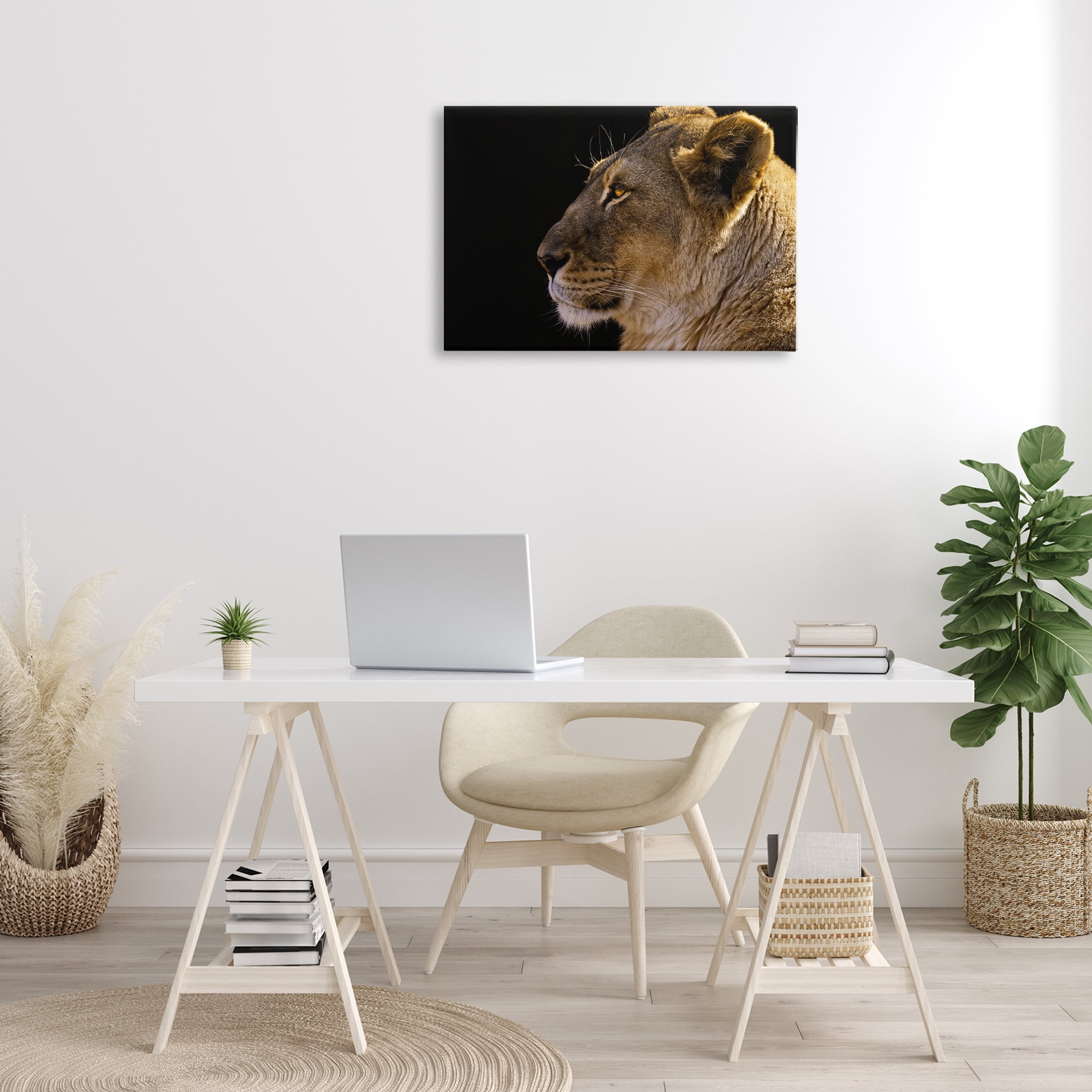 Stupell Industries Fierce Lion Looking Left Animals Photography Wrapped Canvas Art Print Wall Art, 30 x 20