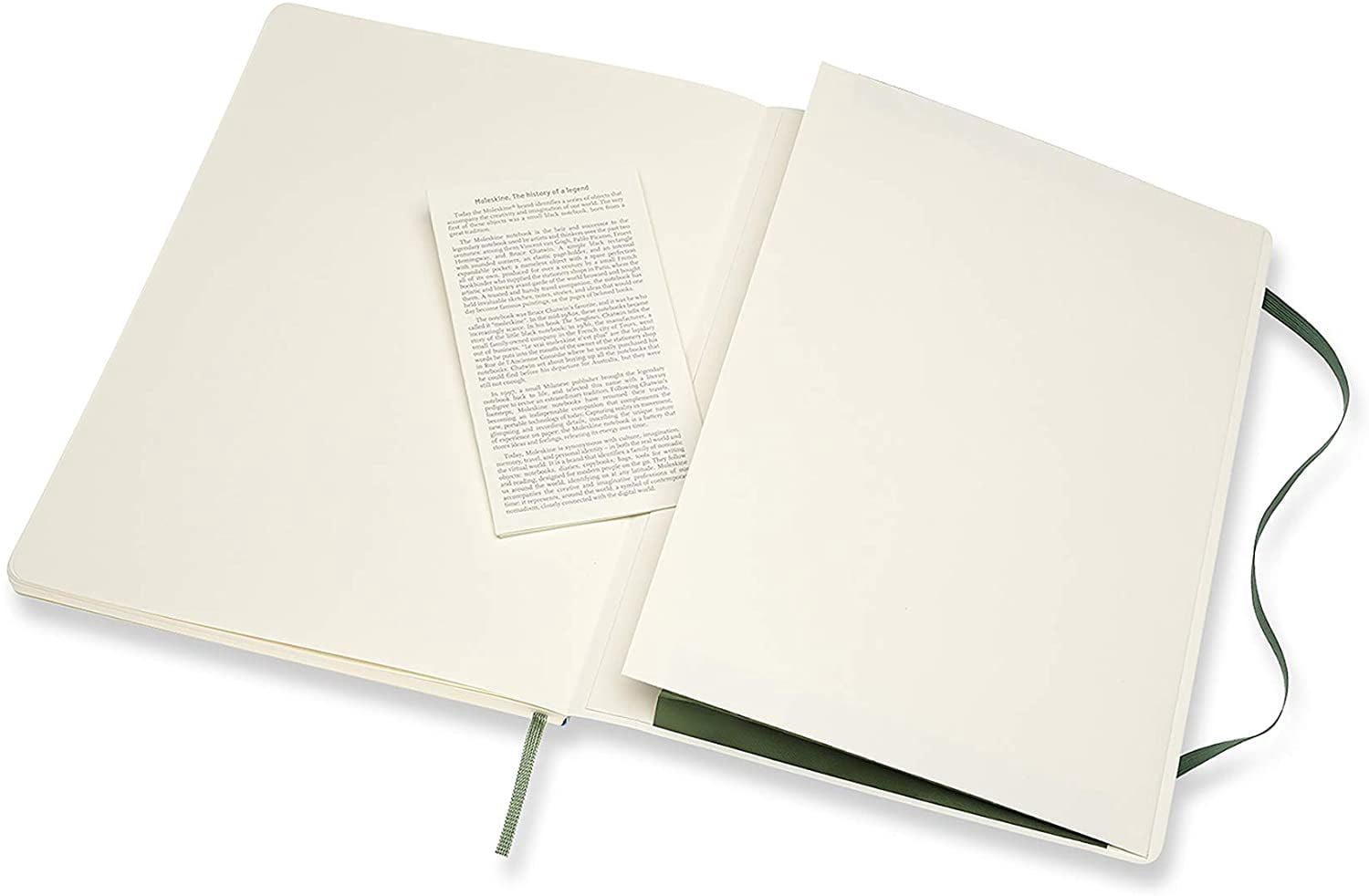 Moleskine Notebook, Extra Large, Plain, Myrtle Green, Soft Cover (7.5 x 9.75) (Books)