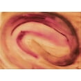 thumbnail image 1 of Ahgly Company Machine Washable Indoor Rectangle Transitional Orange Area Rugs, 8' x 12', 1 of 7