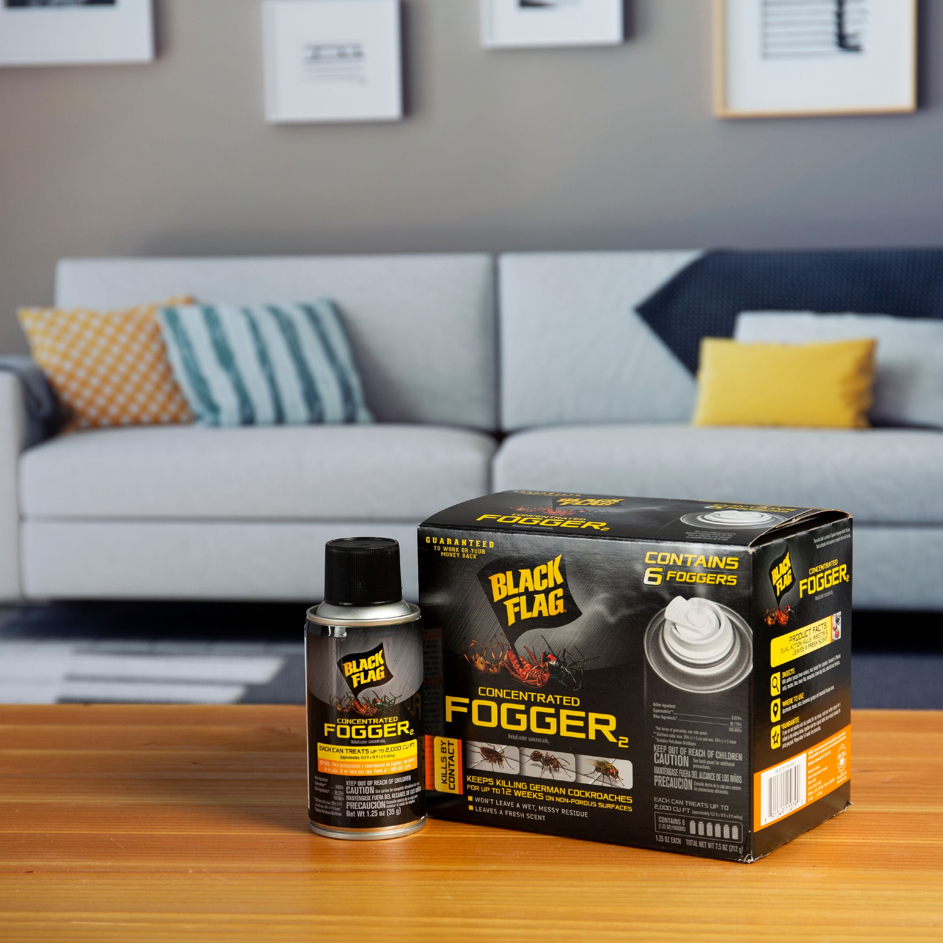 Buy Black Flag Concentrated Insect Fogger, Insect Killer, 6/1.25 Ounce