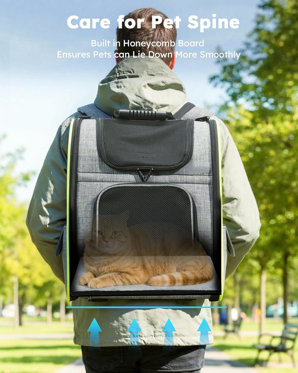 Foldable Pet Backpack in Gray for Cats and Small Dogs Up to 11lbs with Airy Mesh