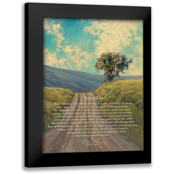 Mohr, Bonnie 12x14 Black Modern Framed Museum Art Print Titled - Living Life