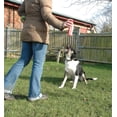 thumbnail image 3 of The Company of Animals Pet Corrector Spray for Dogs, Dog Training Spray to Stop Barking and Unwanted Behaviors, Pet Deterrent and Training Spray Four Pack, 3 of 8