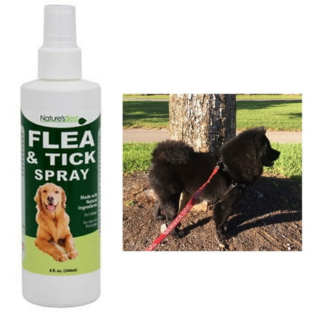 1 Natural Flea Tick Spray Dog Pets Mosquito Control Insect Repellent Relief