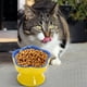 thumbnail image 4 of Bowl de Cerámica para Gatos de Color Limón Amarillo con Azul Púrpura Lento, Bowl Gulping para Gatos y Pequeños Perros, Fácil de Limpiar, Reduce la Deglución y la Comida en Exceso, Elevado, Anti-ahogo,, 4 of 5