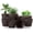 Brown, variant on Utopia Home - Plant Pots Indoor with Drainage - 7/6.6/6/5.3/4.8 Inches Home Decor Flower Pots - Plastic Planters for Indoor Plants, Cactus, Succulents Pot (Spotty Mint, Pack of 5)