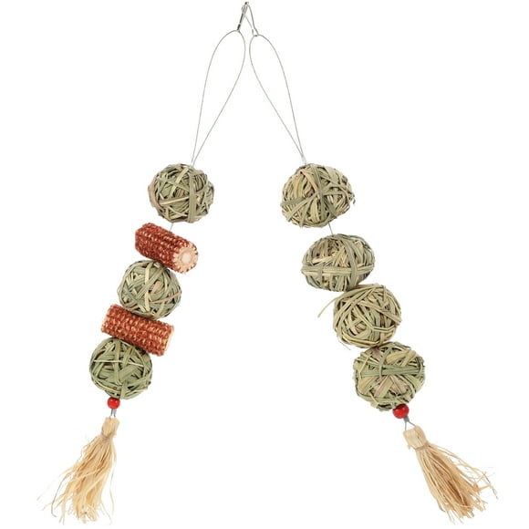 2Pcs Animals Chewing Balls Pet Teething Toys Guinea Pig Chew Toys Bunny Biting Playthings