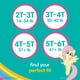thumbnail image 5 of Pantalones de entrenamiento Pampers Easy Ups My Little Pony 4T-5T, 56 unidades, 5 of 8