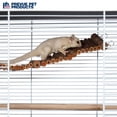 thumbnail image 3 of Prevue Pet Products Natural Large Wonder Walk Bird & Small Animal Ladder - Wooden Cage Accessories for Climbing, Exercise, Hanging Activity Bridge for Birds, Hamsters, Gerbils & Mice, 3 of 12