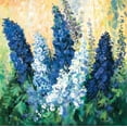 thumbnail image 2 of Schottler, Katharina 15x15 Black Ornate Wood Framed with Double Matting Museum Art Print Titled - Larkspur in blues, 2 of 4