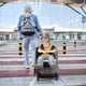 thumbnail image 4 of Asiento de viaje para bebé para equipaje, asiento de maleta para niños, asiento de maleta plegable portátil con cinturón de seguridad para viajes cómodos para bebés, 4 of 5