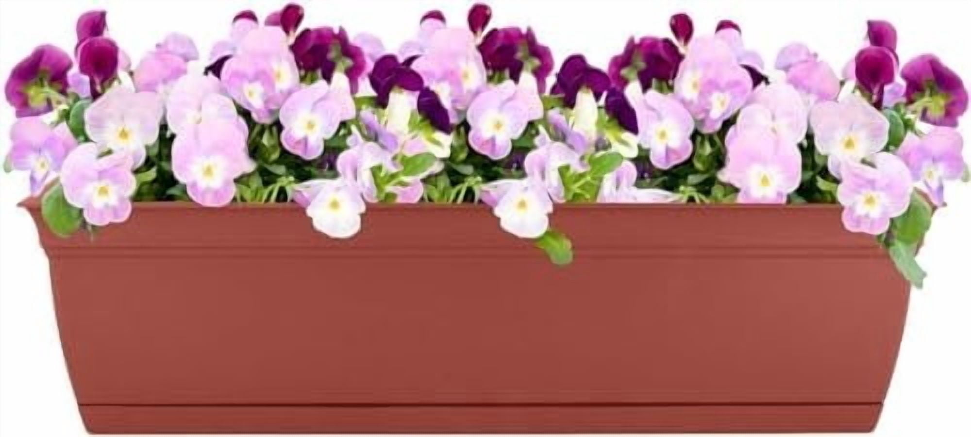 The HC Companies 24 Inch Eclipse Window Planter - Indoor Outdoor Rectangular Plant Pot with Removable Saucer for Flowers, Herbs, Clay