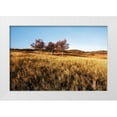 thumbnail image 3 of Alan Hausenflock 14x11 White Modern Wood Framed Wall Art Titled - Autumn Meadow II, 3 of 5