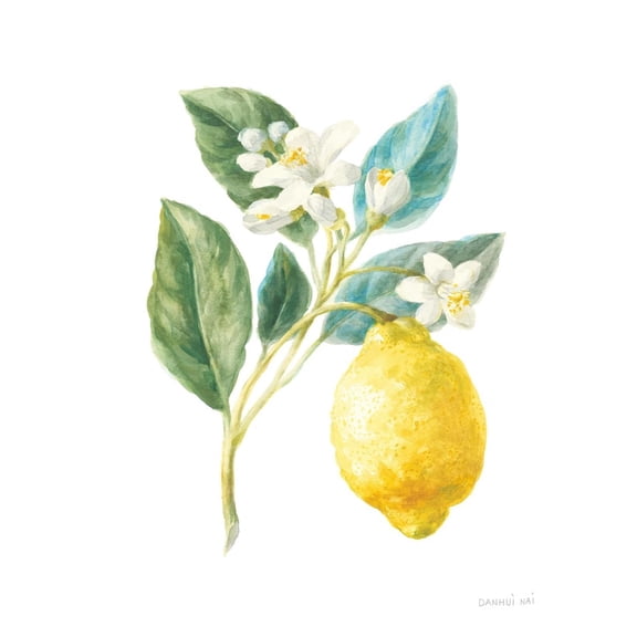 Art.com Floursack Lemon I on White Art Print by Danhui Nai, 12" x 16"