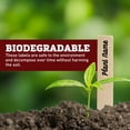 thumbnail image 4 of Harris Seeds Smooth Wooden Plant Labels 8 x 5/8 Inch, Untreated Garden Markers, 500 Count, 4 of 7