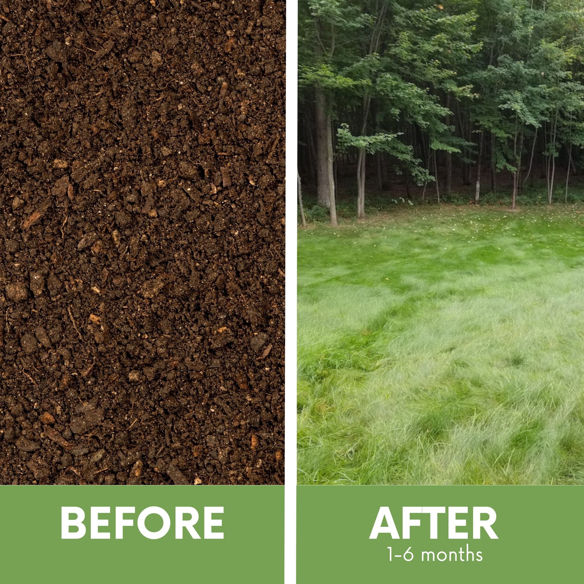 Flawn Seed Kits Mow Less Fine Fescue Grass Seed, 2 lb - Easy Spread Shaker, Low Maintenance