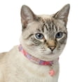 thumbnail image 2 of Oodles Woven Checkered Breakaway Cat Collar, Pink, One Size, 2 of 8