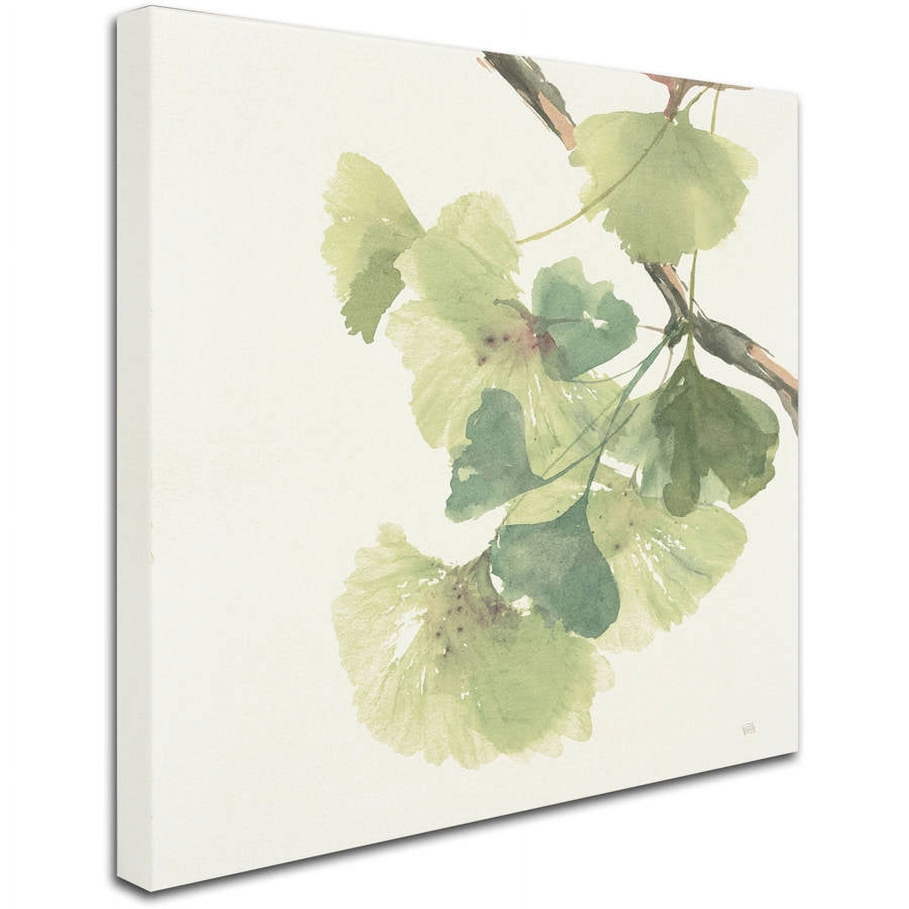 Trademark Fine Art "Gingko Leaves II Light" Canvas Art by Chris Paschke