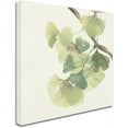 thumbnail image 2 of Trademark Fine Art "Gingko Leaves II Light" Canvas Art by Chris Paschke, 2 of 3