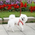 thumbnail image 4 of SPRING PARK Dog Harness Wear-resistant Adjustable Faux Leather Pet Puppy Walking Strap Vest Chest Belt with Traction Rope, 4 of 7
