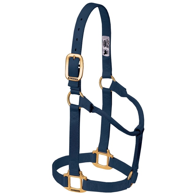 Cabezada para caballo Weaver Equine de nylon, no ajustable, grande, azul marino