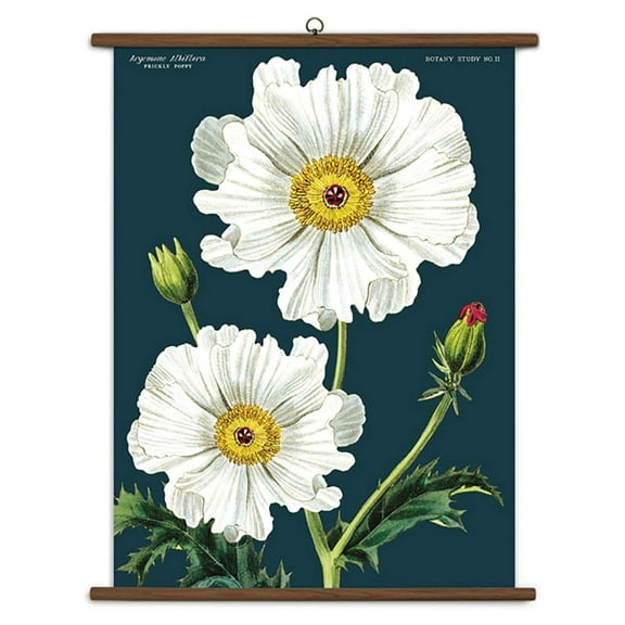 Botany Vintage School Chart - Cavallini Archives Wall Art Print - 40x28in - Ready to Hang - Sustainable Wood - Home & Office Decor