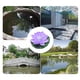 thumbnail image 4 of Luces solares para piscina, paquete de 1 flor flotante Hollandia para piscina, luces solares flotantes para piscina, luz solar LED flotante para estanque. Luz solar., 4 of 8