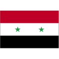 thumbnail image 1 of 5 ft. X 8 ft. Nyl-Glo Syria Flag, 1 of 1