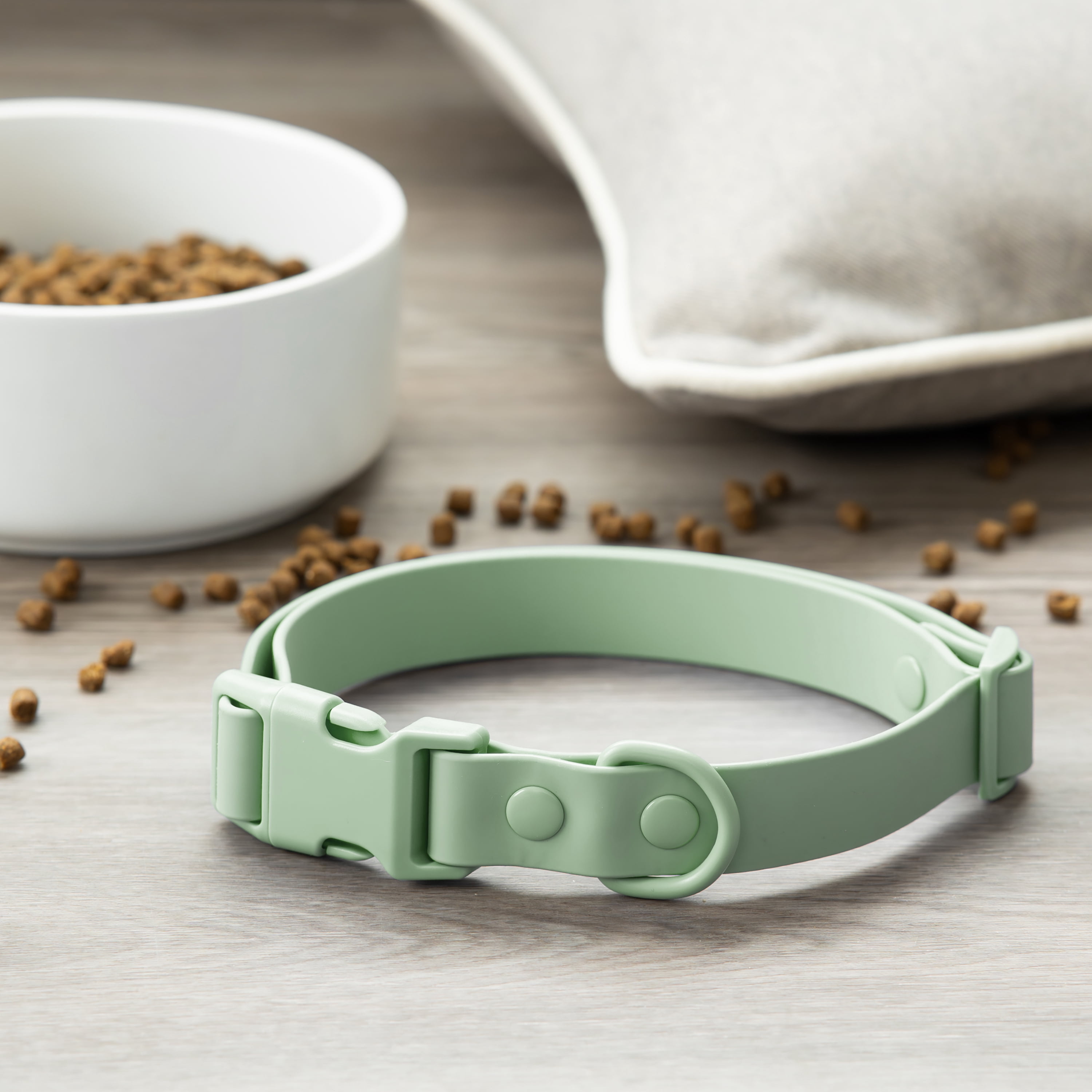Vibrant Life Water Resistant Adjustable Dog Collar, Sage Green, S