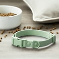thumbnail image 6 of Vibrant Life Water Resistant Adjustable Dog Collar, Sage Green, XL, 6 of 8