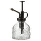 thumbnail image 1 of EeaseMX Botella rociadora de vidrio transparente, estilo vintage, para regar agua., 1 of 7