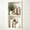 White, variant on Recessed Shower Niche 24" x 12", Niche for Shower Wall, Matte Gray Stainless Steel with 1 Centered Shelf, 8-Year Fade & Scratch Resistant, No Tile Needed Bathroom Storage