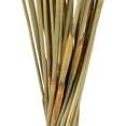thumbnail image 4 of Vickerman 40" Natural Elephant Reed, 10 oz Bundle, Dried, 4 of 4
