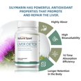 NatureSpan Silymarin Has Powerful Antioxidant Properties That Promote